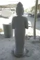 morepic-3